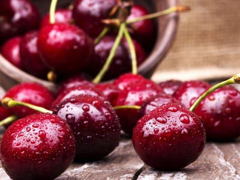 Вишня купить саженцы из питомника в Туле
